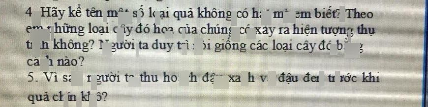 4 Hãy kế tên một số loại quả không - QANDA ( https://qanda.ai › solutions › djMkQJ... ) 