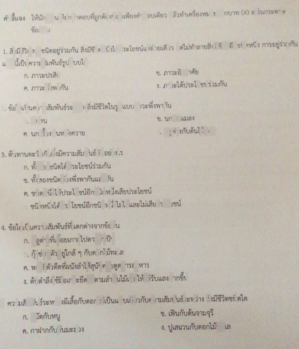 My Image 10