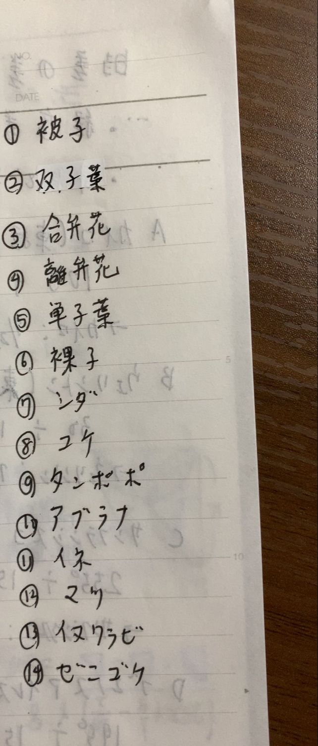 O Descubre Como Resolverlo En Qanda