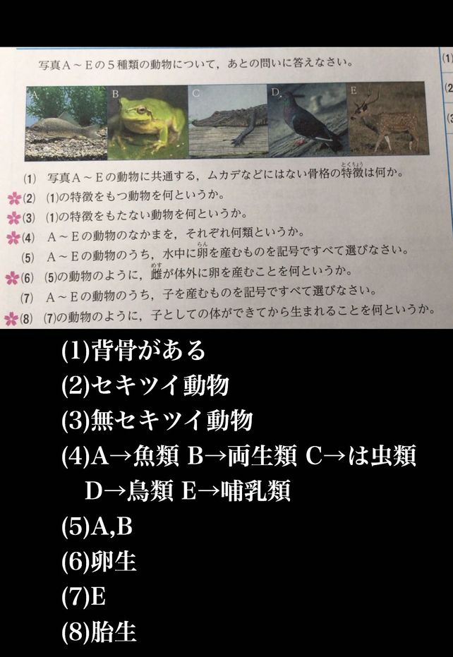 Ae 5 Left 1 B D E Left 2 Descubre Como Resolverlo En Qanda