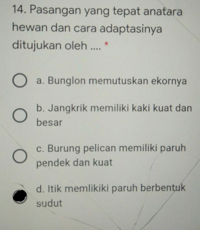 14 Pasangan Yang Tepat An Lihat Cara Penyelesaian Di Qanda