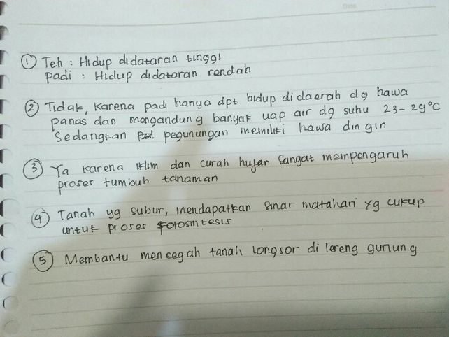 1 Apa Perbedaan Antara Te Lihat Cara Penyelesaian Di Qanda 1 Apa Perbedaan Antara Te Lihat Cara Penyelesaian Di Qanda