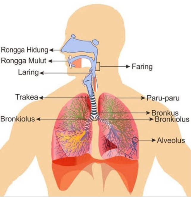3 Berikut Ini Merupakan Uruta See How To Solve It At Qanda 3 Berikut Ini Merupakan Uruta See How To Solve It At Qanda