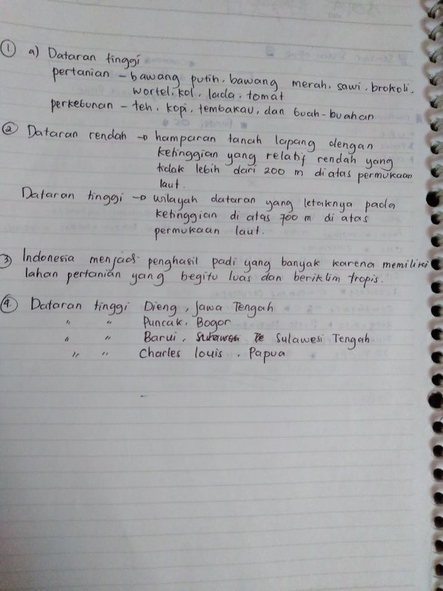 Dataran Rendah Di Papua