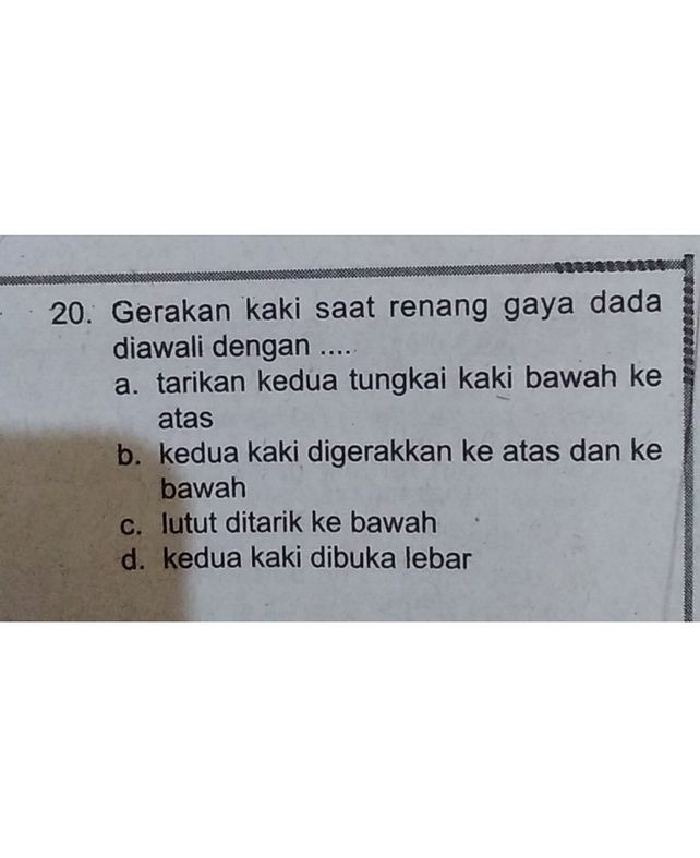 Renang Yang Diawali Dibawah Balok Start Adalah Studi Indonesia