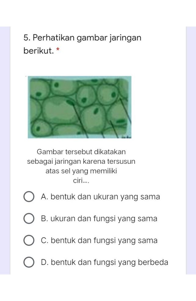 Seorang Anak Mengamati Ba Lihat Cara Penyelesaian Di Qanda Seorang Anak Mengamati Ba Lihat Cara Penyelesaian Di Qanda