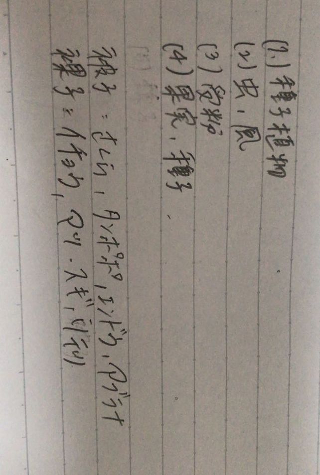 1 Descubre Como Resolverlo En Qanda