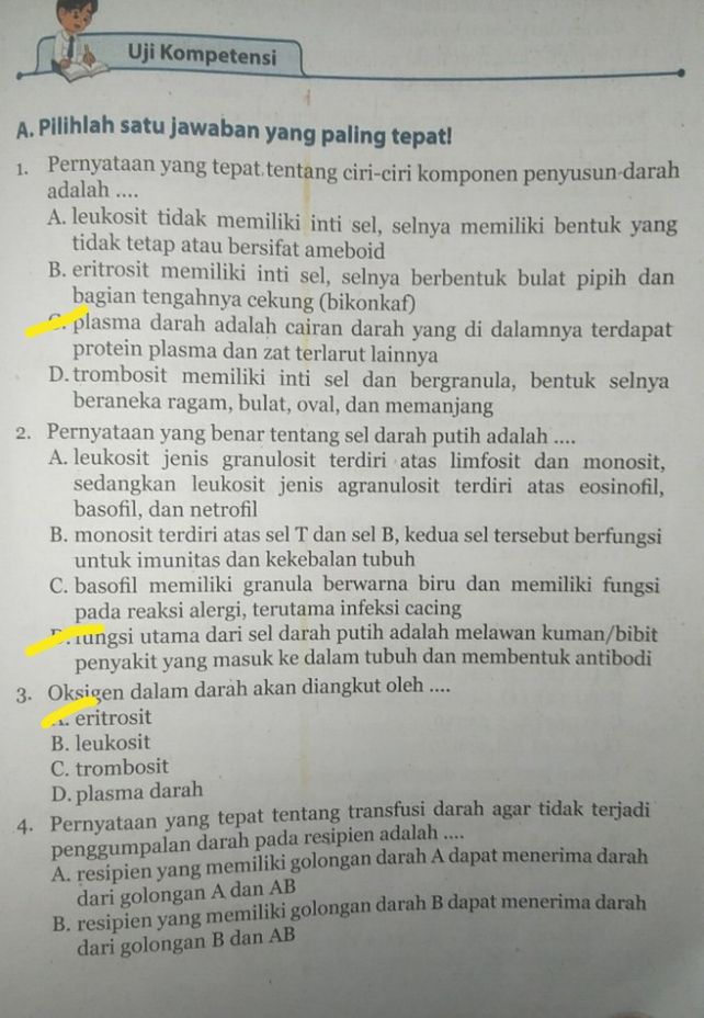 A Pilihlah Satu Jawaban Y Lihat Cara Penyelesaian Di Qanda A Pilihlah Satu Jawaban Y Lihat Cara Penyelesaian Di Qanda