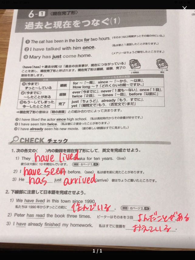 Dne Cat Has Been In The Descubre Como Resolverlo En Qanda