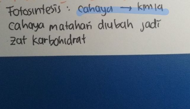 Pada Proses Fotosintesis Descubre Como Resolverlo En Qanda