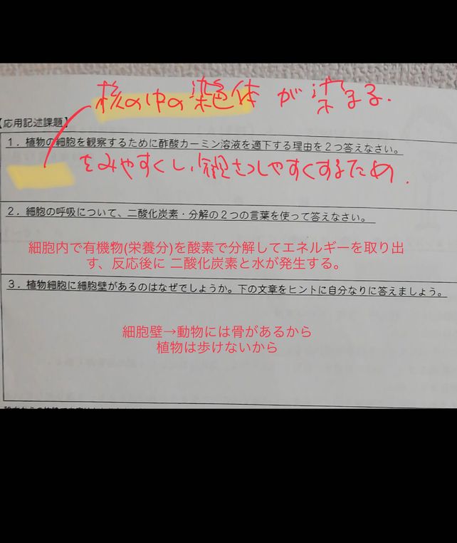 2 2 Lihat Cara Penyelesaian Di Qanda