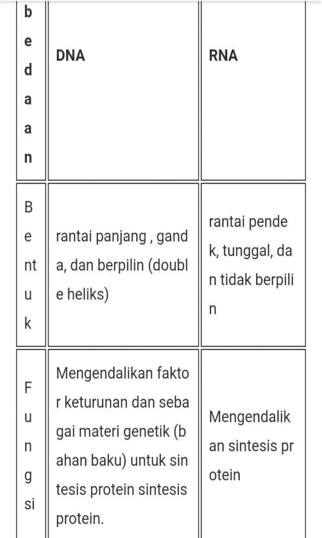 1jelaskan Pengertian Mate Lihat Cara Penyelesaian Di Qanda 1jelaskan Pengertian Mate Lihat Cara Penyelesaian Di Qanda