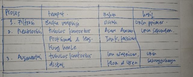 2 Pembentukan Urine Terja Lihat Cara Penyelesaian Di Qanda