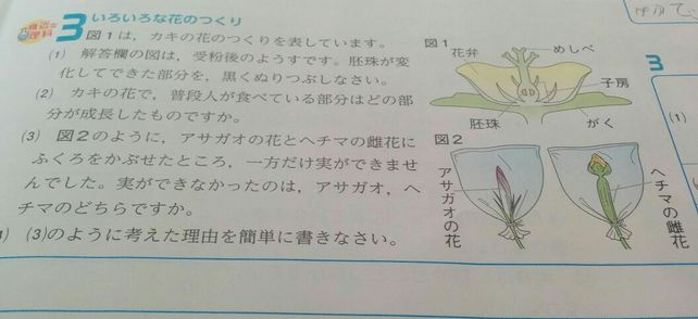 C Lihat Cara Penyelesaian Di Qanda