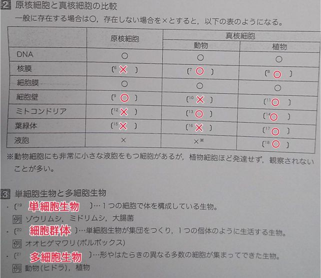 2 Times Dna Left 6 7 Lef Descubre Como Resolverlo En Qanda