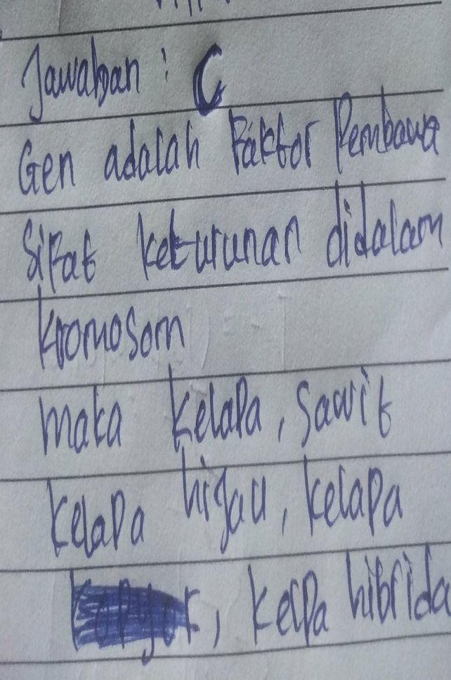 1 Perhatikan Beberapa Jen Lihat Cara Penyelesaian Di Qanda