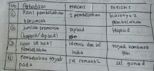2 Gambarlah Siklus Menst Descubre Como Resolverlo En Qanda 2 Gambarlah Siklus Menst Descubre Como Resolverlo En Qanda
