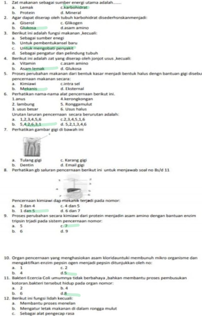 Proses Perubahan Makanan Descubre Como Resolverlo En Qanda