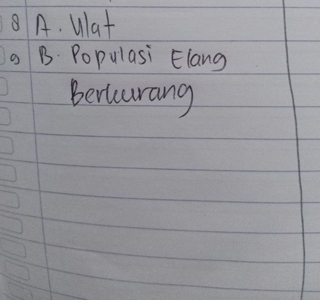 Mguennjaawkaabn Soal Nom Descubre Como Resolverlo En Qanda