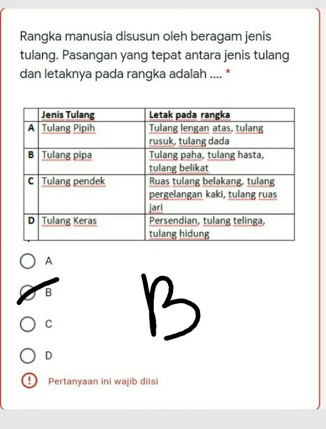 Rangka Manusia Disusun O Descubre Como Resolverlo En Qanda Rangka Manusia Disusun O Descubre Como Resolverlo En Qanda