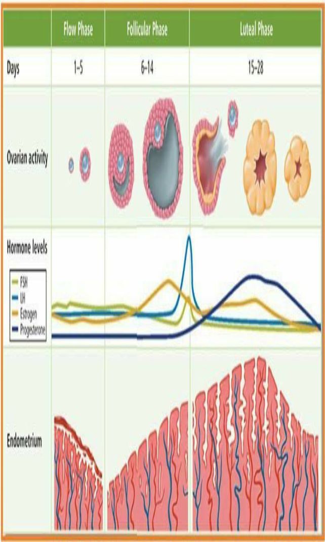 1 Menggambarkan Grafik L Descubre Como Resolverlo En Qanda