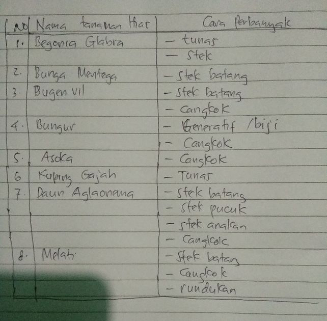 14 C Carilah Lima Jenis T Lihat Cara Penyelesaian Di Qanda