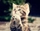 answer-user-profile-image