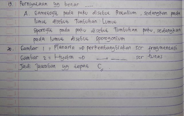 Pernyataan Benar Berkaita Lihat Cara Penyelesaian Di Qanda