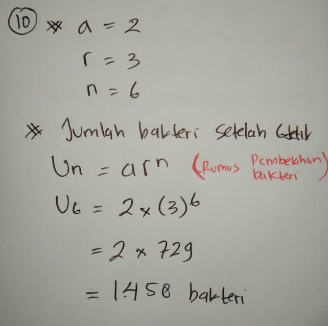 10 Suatu Jenis Bakteri S Descubre Como Resolverlo En Qanda