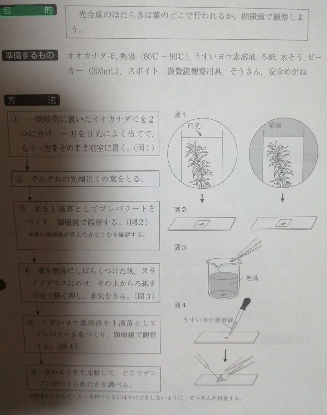 2 Lihat Cara Penyelesaian Di Qanda