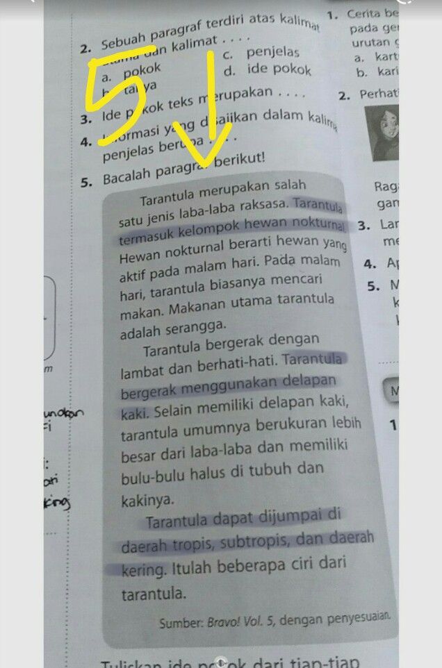 Sebuah Paragraf Terdiri A Lihat Cara Penyelesaian Di Qanda