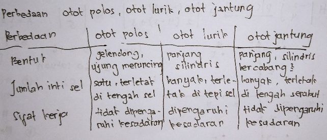 42 Jelaskan Perbedaan Oto Lihat Cara Penyelesaian Di Qanda