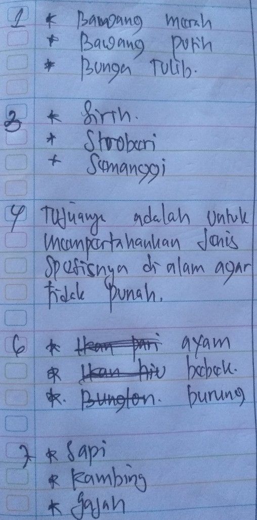 Soal Soal Ipa Kelas 6 P Lihat Cara Penyelesaian Di Qanda