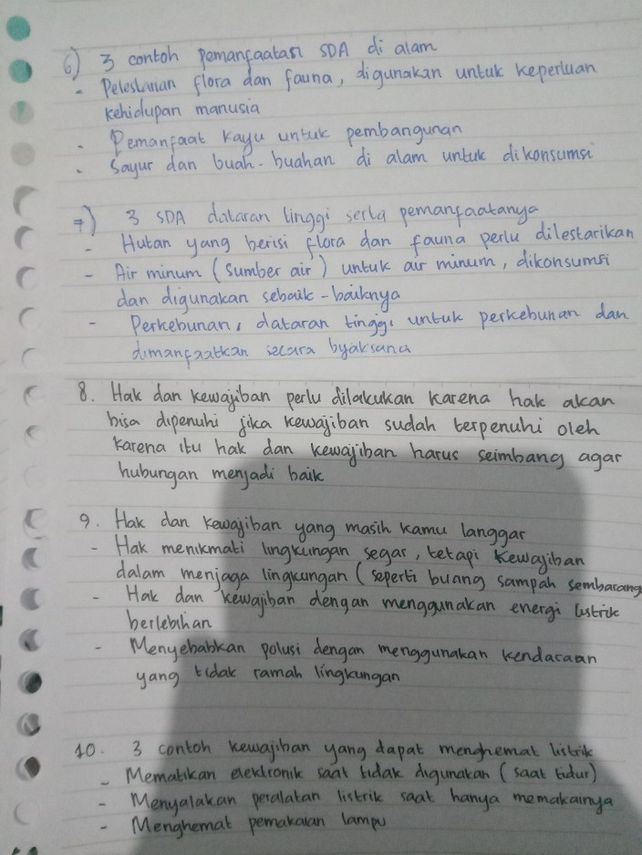 Sebutkan 3 Contoh Hasil Perkebunan Dan Manfaatnya