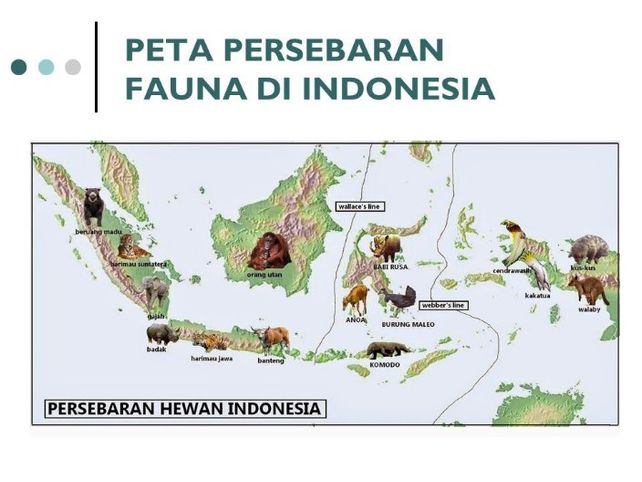 Membuat Peta Tentang Descubre Como Resolverlo En Qanda Membuat Peta Tentang Descubre Como Resolverlo En Qanda