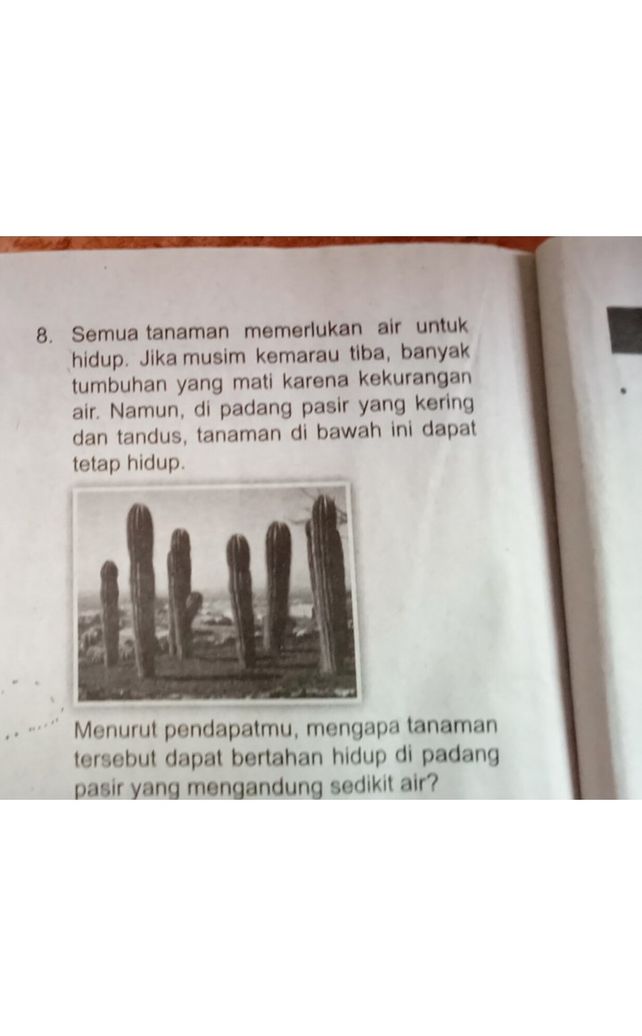 Ciri Ciri Makhluk Hidup Tumbuhan Memerlukan Air Ciri Ciri Makhluk Hidup Tumbuhan Memerlukan Air