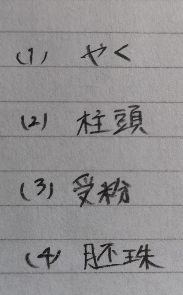 1 Descubre Como Resolverlo En Qanda