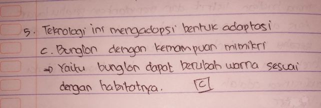 5 P Para Peneliti Mencip Descubre Como Resolverlo En Qanda