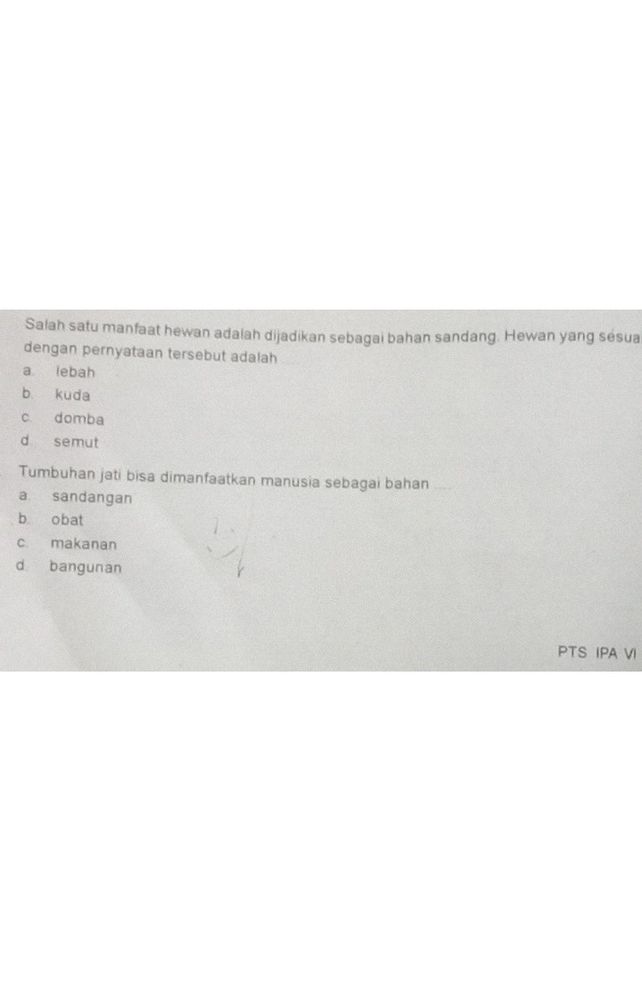 Amoeba Adalah Salah Satu Descubre Como Resolverlo En Qanda