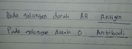 1 1 Golongan Darah Ab Dan Lihat Cara Penyelesaian Di Qanda
