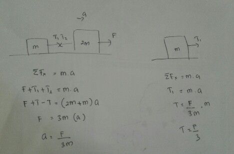 3 Pada Sistem Dua Balok D Lihat Cara Penyelesaian Di Qanda
