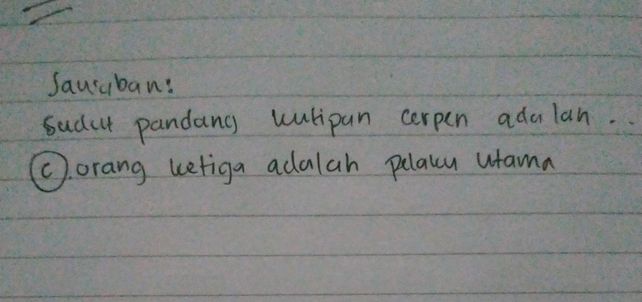 Sudut Pandang Orang Ketiga Pelaku Sampingan Adalah