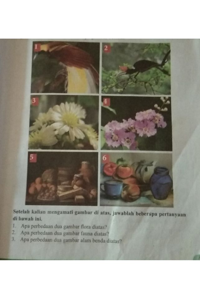 Setelah Kalian Mengamati Lihat Cara Penyelesaian Di Qanda