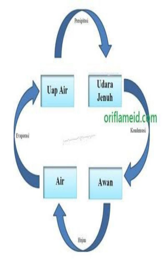 7 Air Laut Mengalami Pro Descubre Como Resolverlo En Qanda 7 Air Laut Mengalami Pro Descubre Como Resolverlo En Qanda