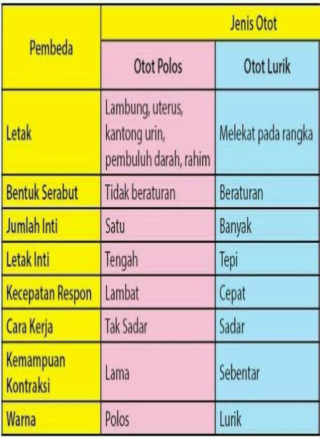1sebutkan Organ Sistem Ge Lihat Cara Penyelesaian Di Qanda 1sebutkan Organ Sistem Ge Lihat Cara Penyelesaian Di Qanda