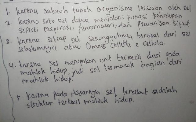 1mengapa Sel 1 Disebut Se Lihat Cara Penyelesaian Di Qanda