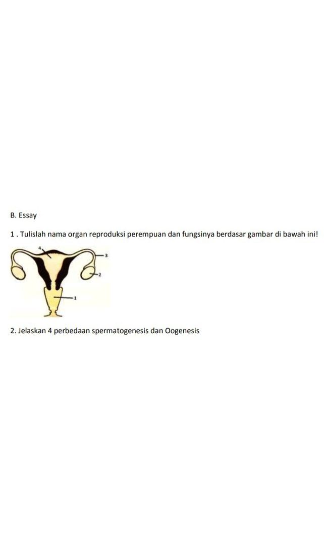 Oogonium 2n Oosit Prim Descubre Como Resolverlo En Qanda