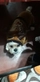 answer-user-profile-image
